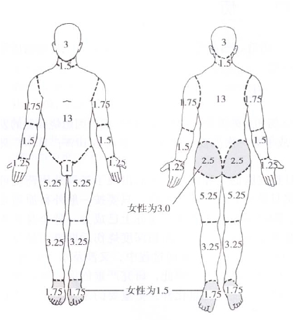 3 儿童各部位体表面积)的估计a.4 全身神经感觉分布图a.